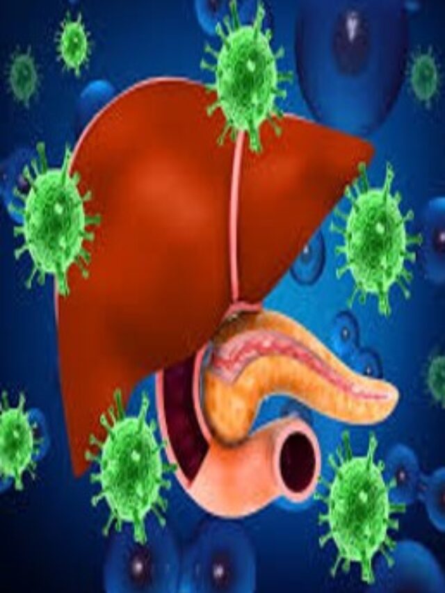 Types of Hepatitis Virus