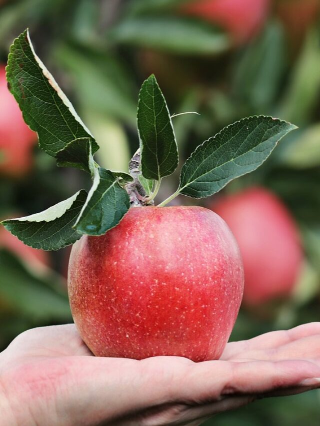 10 Surprising Health Benefits of Apples