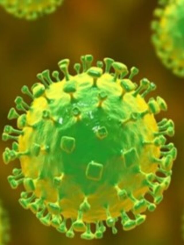 Nipah Virus Outbreak