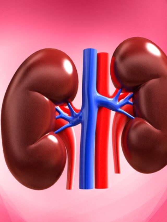 10 Healthy Foods that good for Kidney